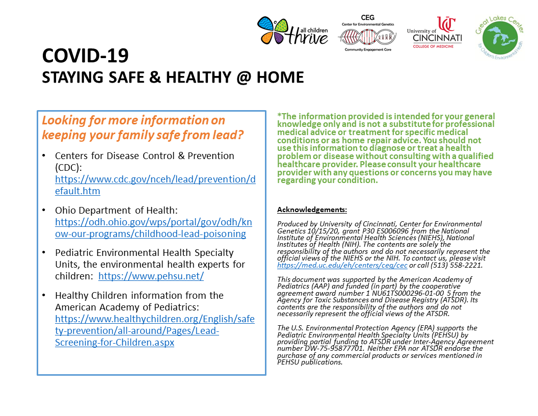 Side 2 of a guide featuring tips to stay safe and healthy at home when concerned about lead contamination