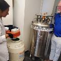 Researcher demonstrating liquid nitrogen