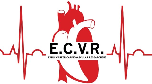 Early Career Cardiovascular Researchers