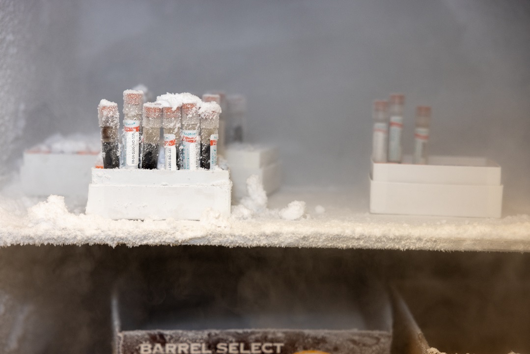 Research Frozen Tubes