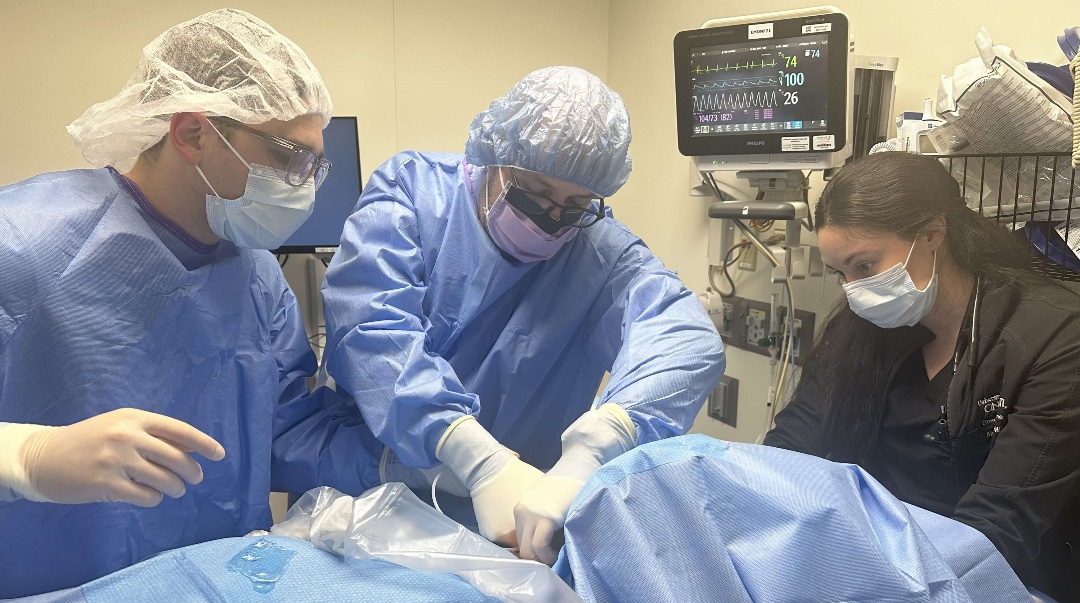 Residency in action - About the Program