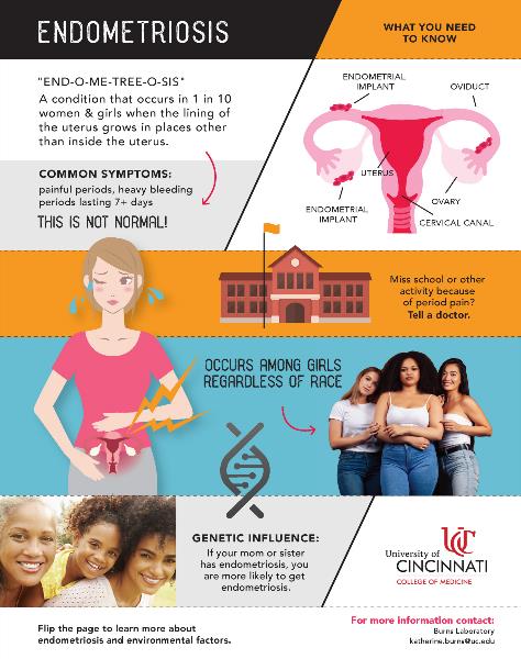 Endometriosis & Environmental Exposures Infographic Page 2