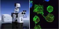 Photo of Zeiss Confocal Microscope