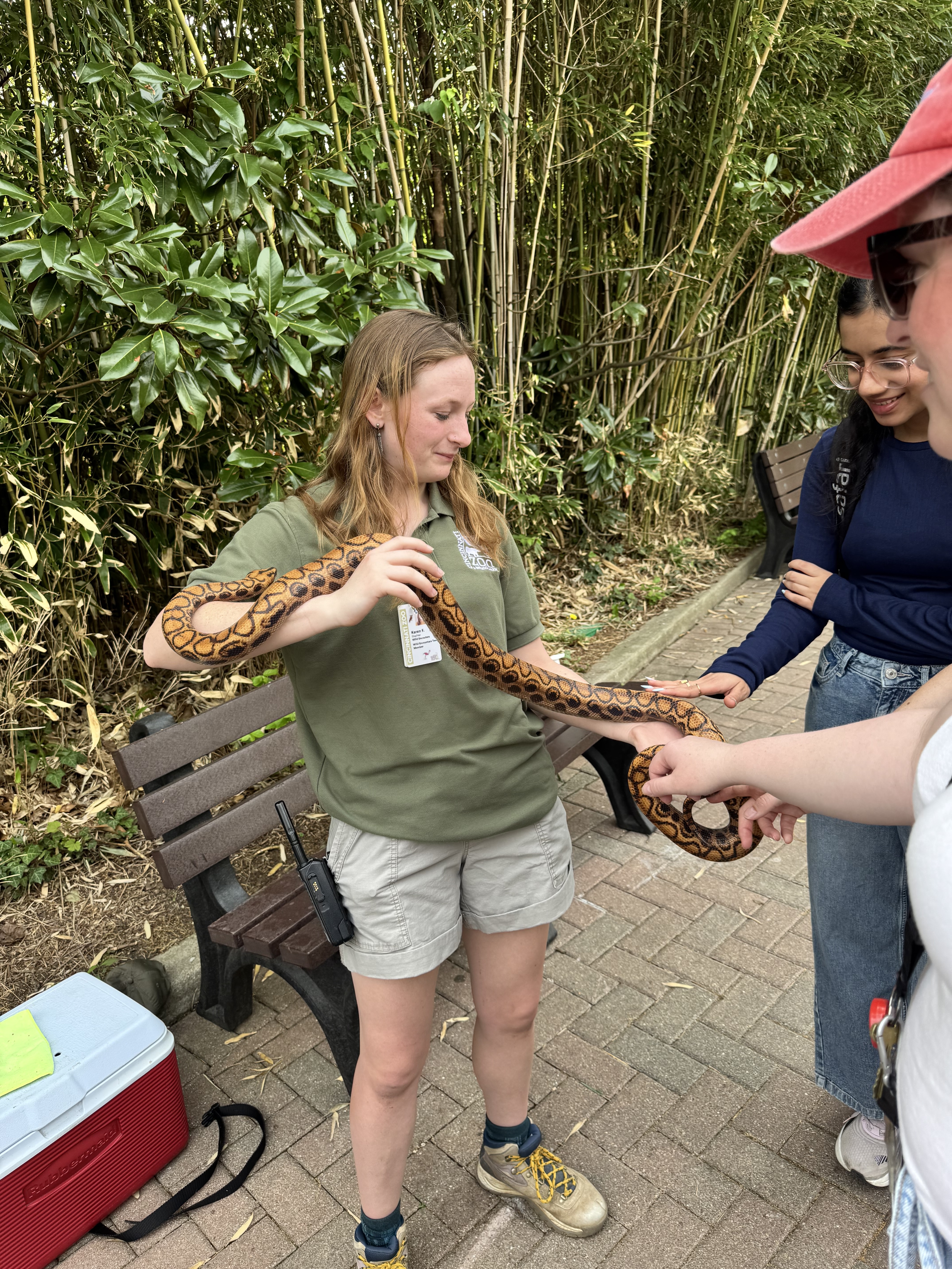 Zookeeper holding a snake and students gathering around