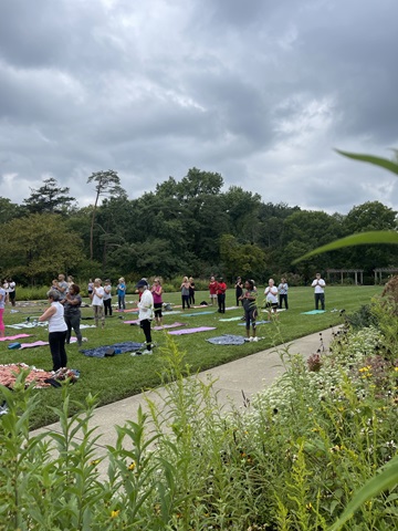 A community yoga event with a large group of people with their own yoga mats in the park surrounded by greenspace