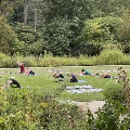 groupofpeoplepracticingyogainaultpark