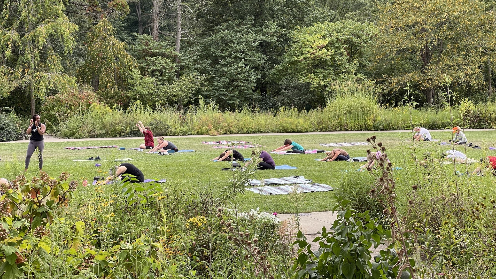 group of people in a yoga class at a park