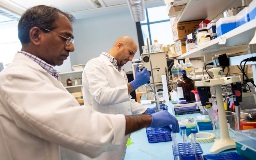 Image of Dr. Qi in the Lab
