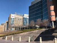 Childrens and UCCOM