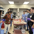Residents in the lab