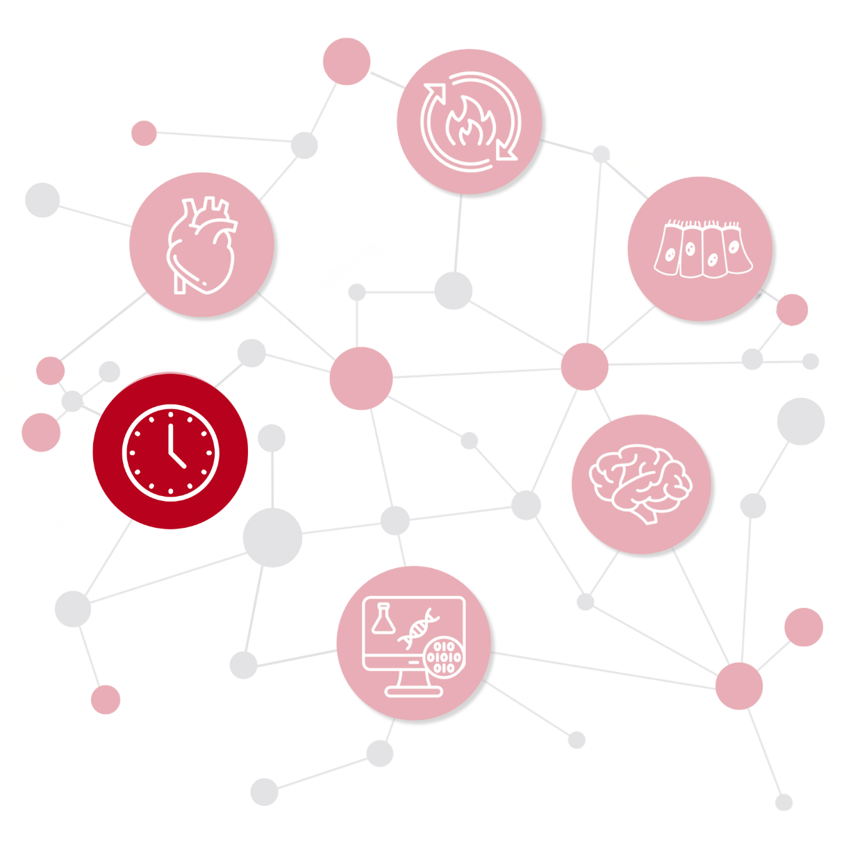 photo of network with clock icon emphasized