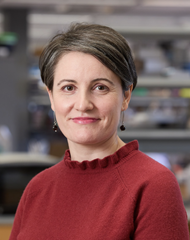 photo of Stefania Nicoli, PhD, FAHA