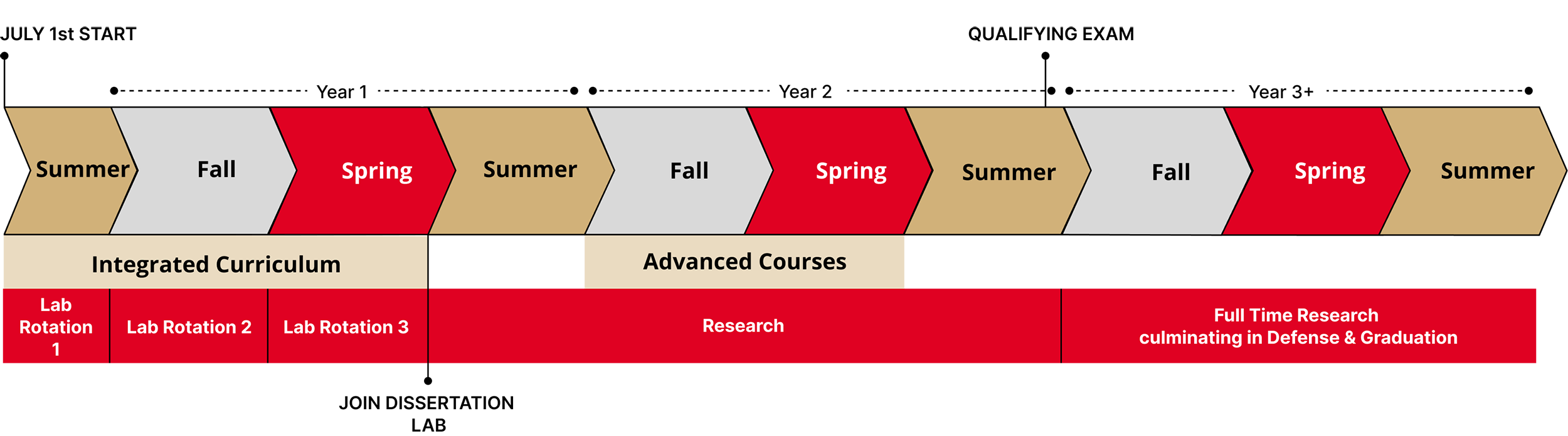 Timeline of PhD program as described in text below
