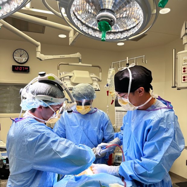 Oral surgeons in operating room