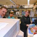 woman-doing-lab-test